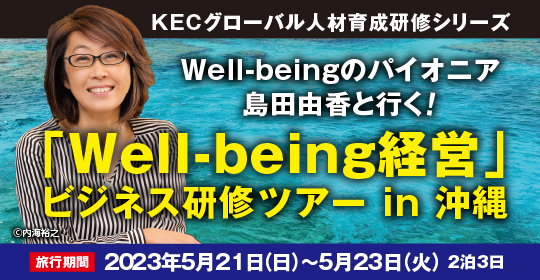 https://www.consul.kec.ne.jp/wp/wp-content/uploads/2023/02/well-being-okinawa-540-280.jpg